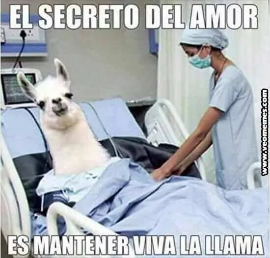 Memes