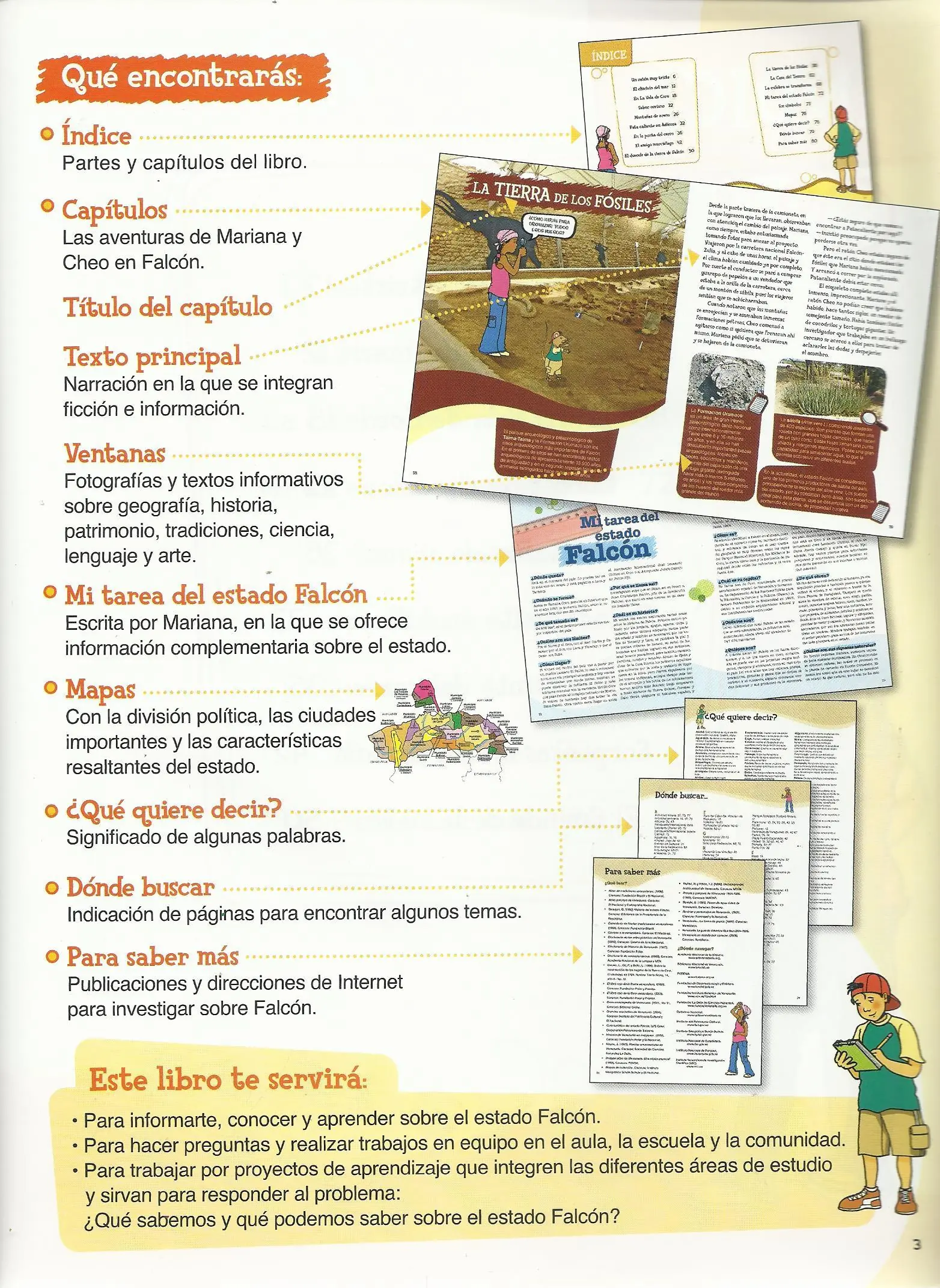 estado falcon