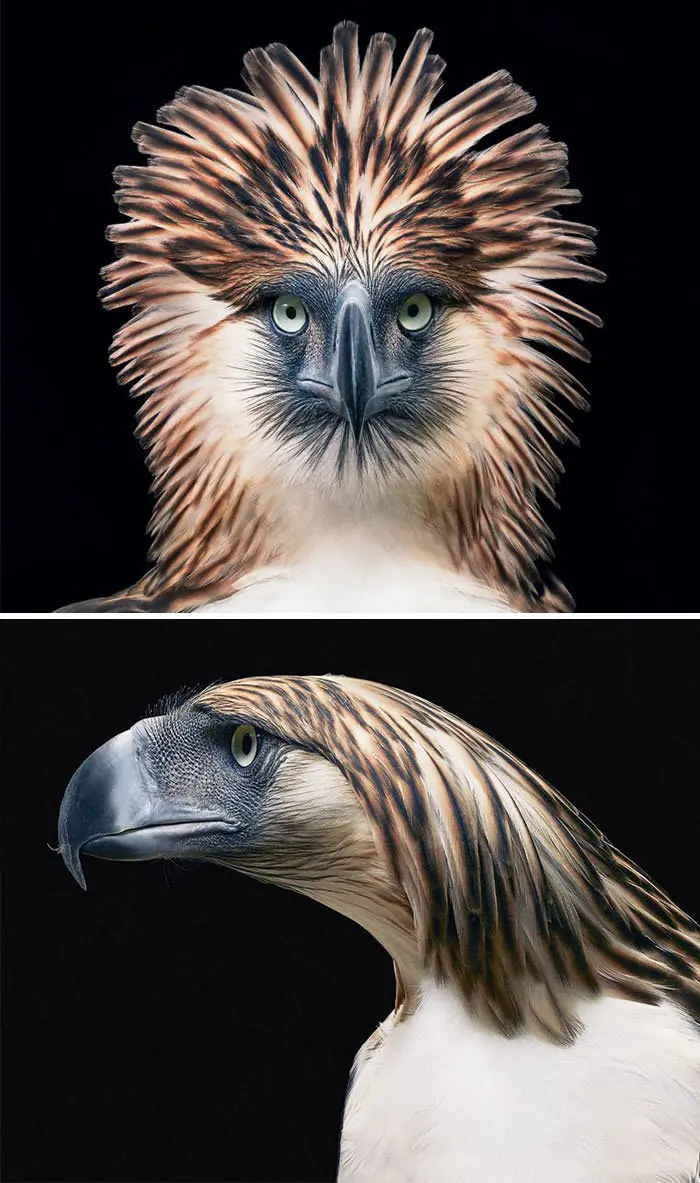 Tim Flach