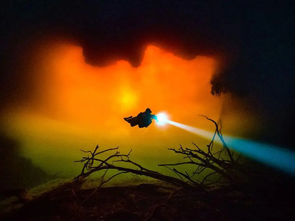 Las imagenes cientificas mas impresionantes del 2017