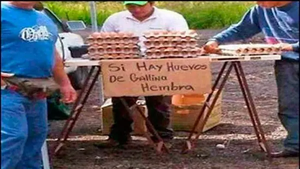 Todo