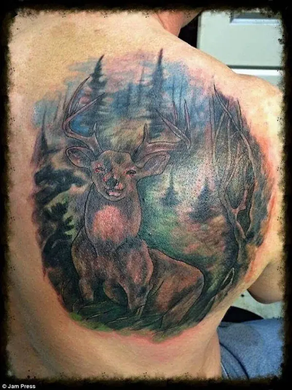 Animales