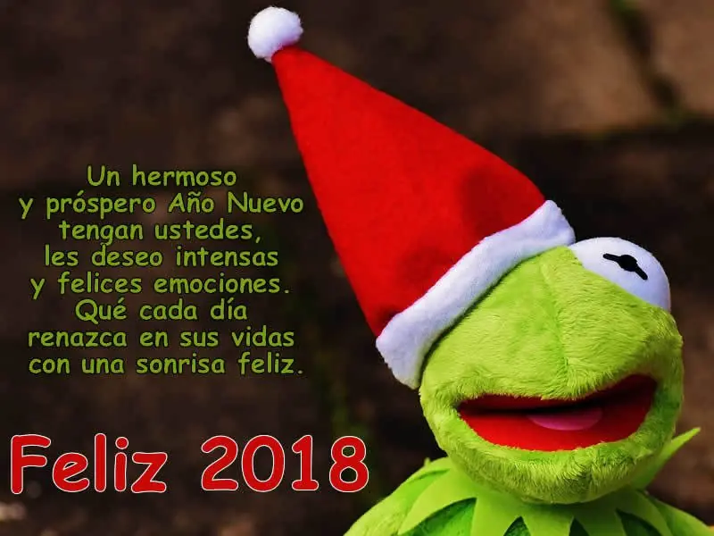 FIESTAS