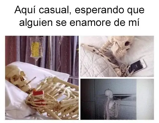 soltero