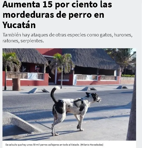 ataques