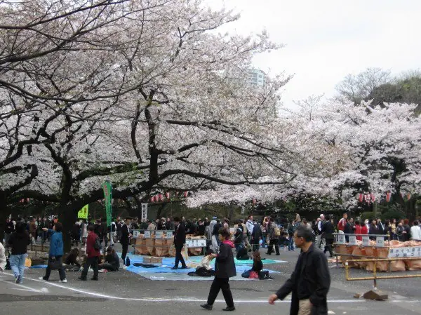 atracciones turisticas en tokio atracciones turisticas en tokio