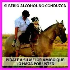 humor