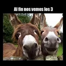 imagenes