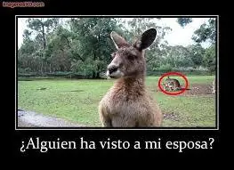 diversion