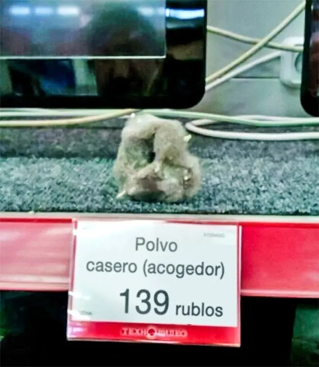 imagenes que te haran decir que diablos es esto