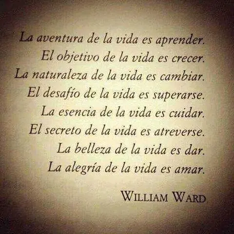 imagenes