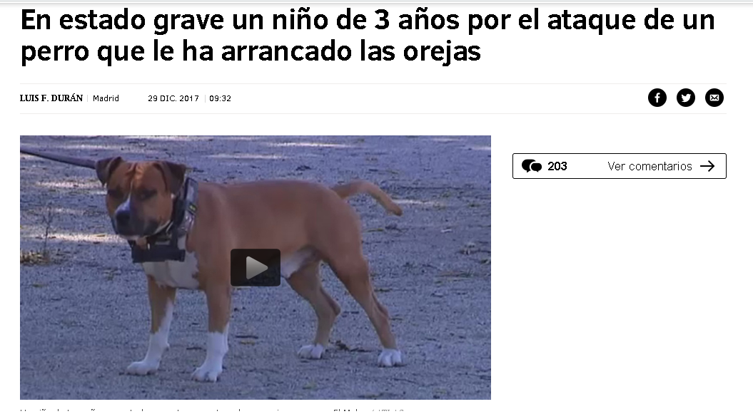 Antes de tirar pirotecnia, pensá en los perros