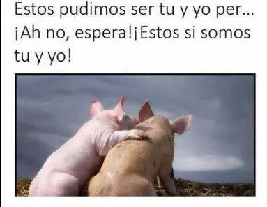 El mejor crap de humor definitivo para terminar año riendo!