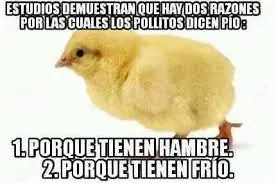 risas