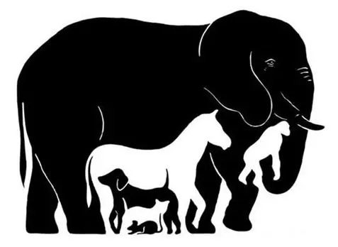 terapia cognitivo conductual