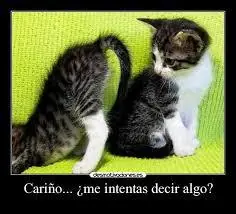 entretenimiento