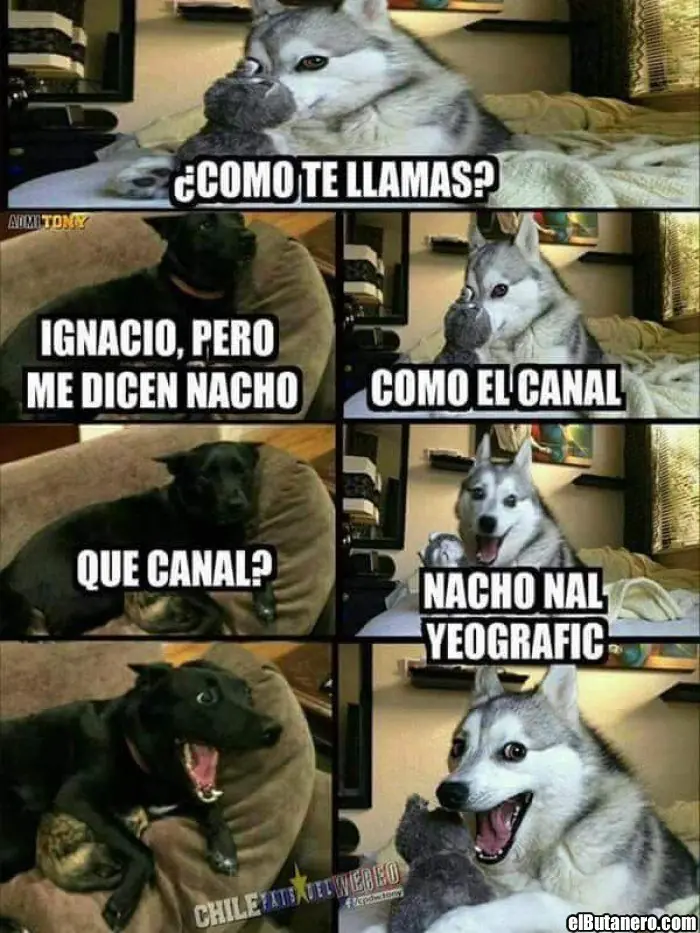 reir