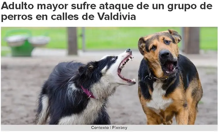 cuidado