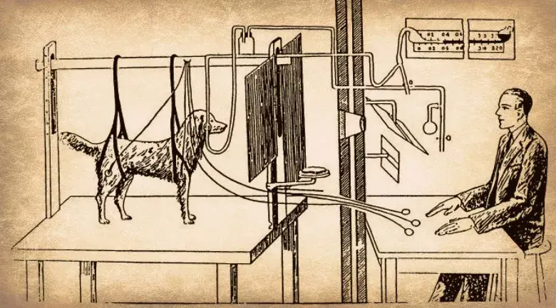 psicologia organizacional