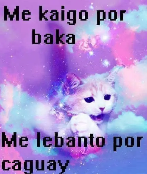 humor otaku