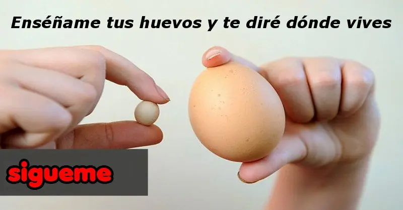 Enséñame tus huevos y te diré dónde vives
