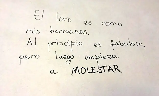 Conducta