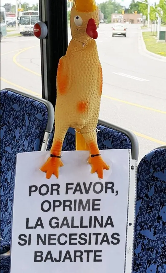 Ingeniosas