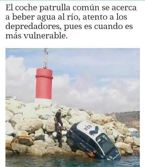 chistoso