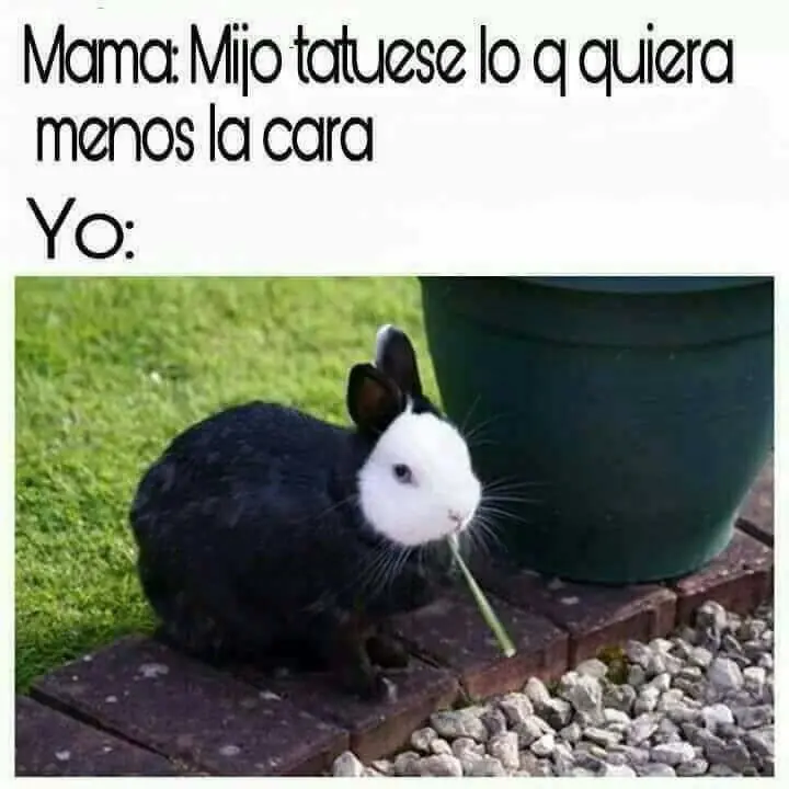 imagenes