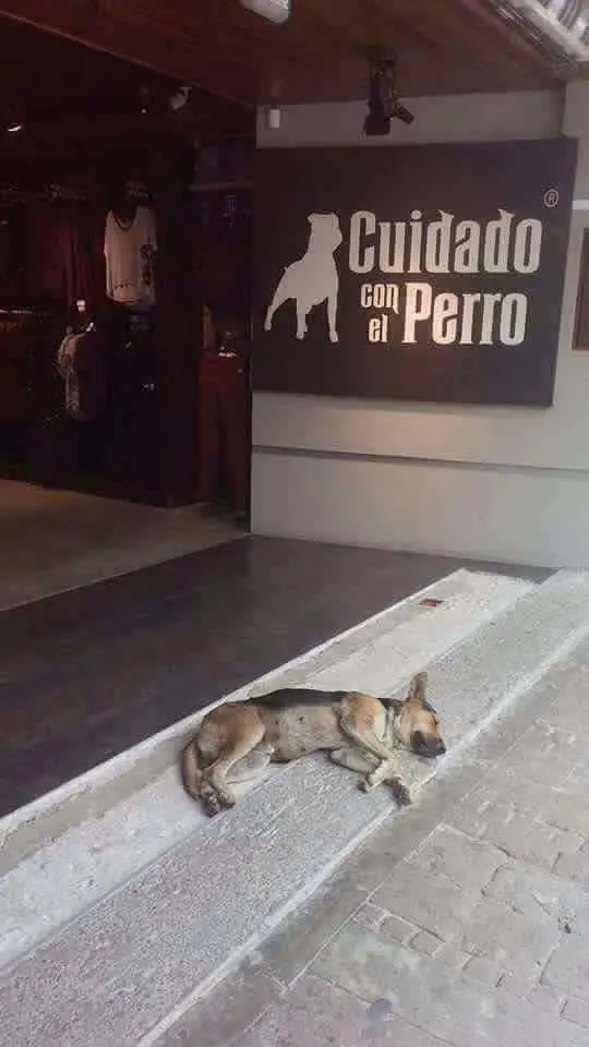 Importante