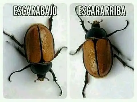 Mataran