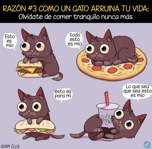 Mememania para vos! #67