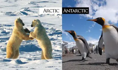 La Nasa nos miente y aca tengo pruebas, no seas credulo