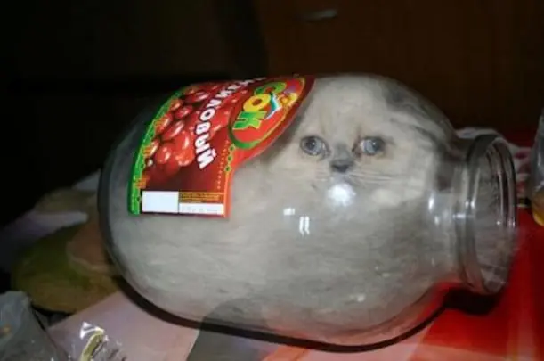 inimaginables