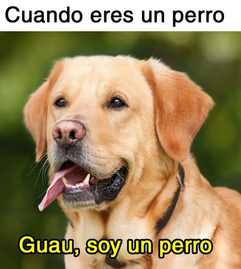 Simple