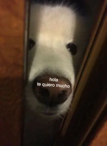 imagenes