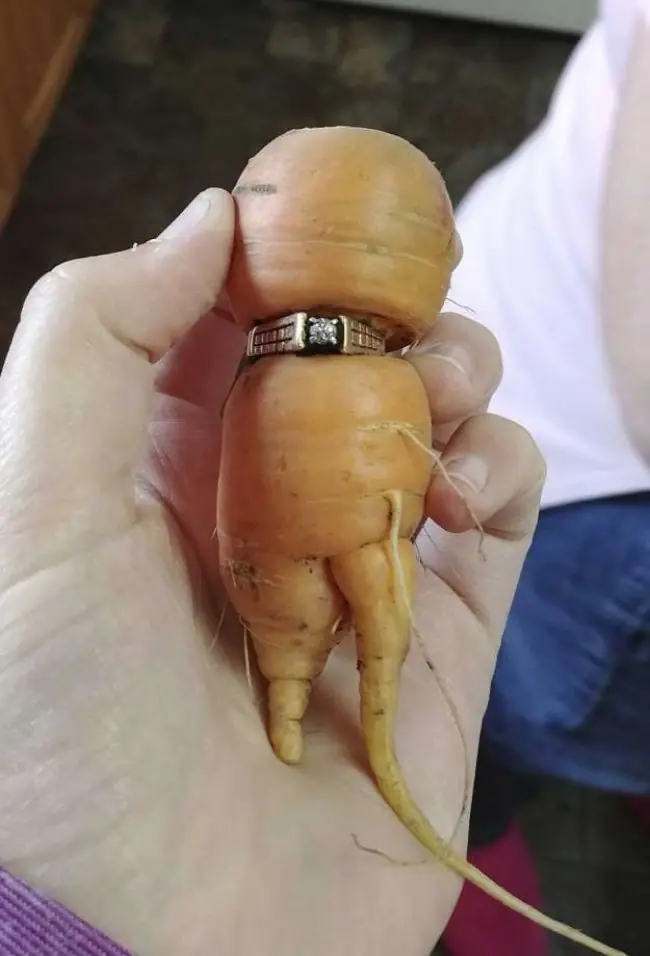 Afortunadas