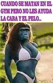y realidad