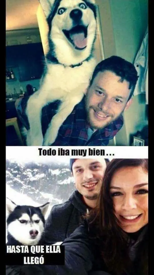 Gozate