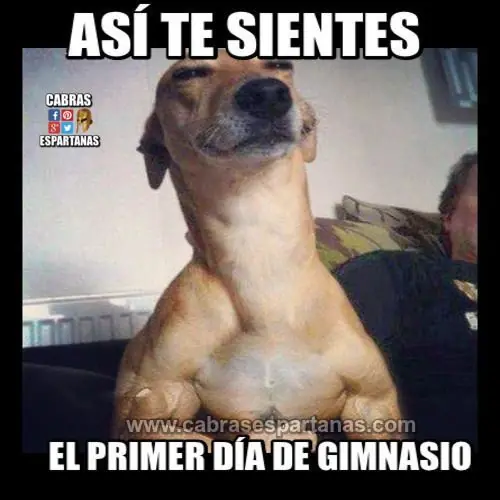 primer