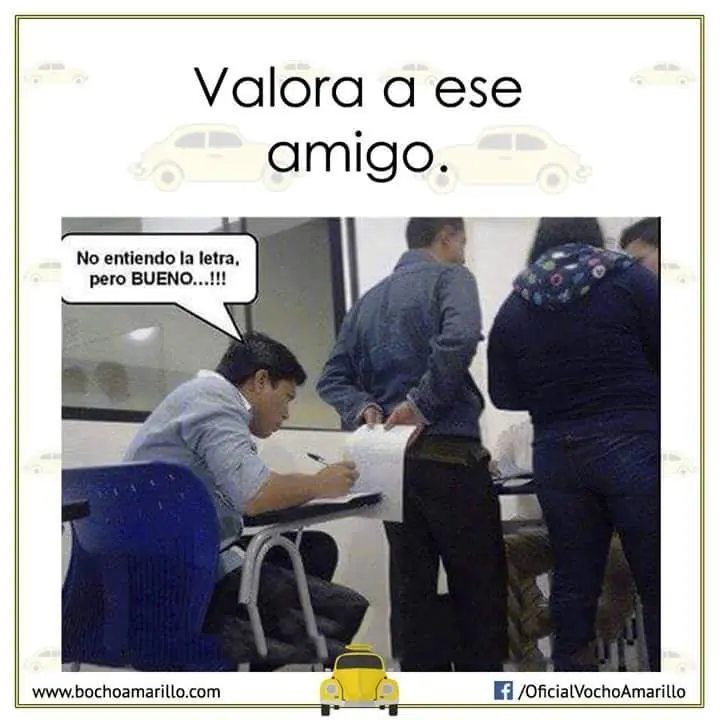 mediodia