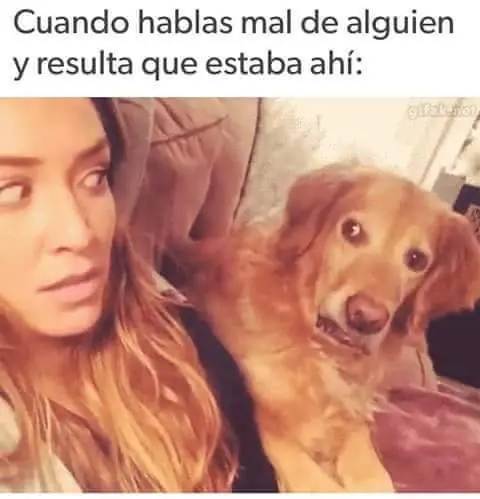 Variado