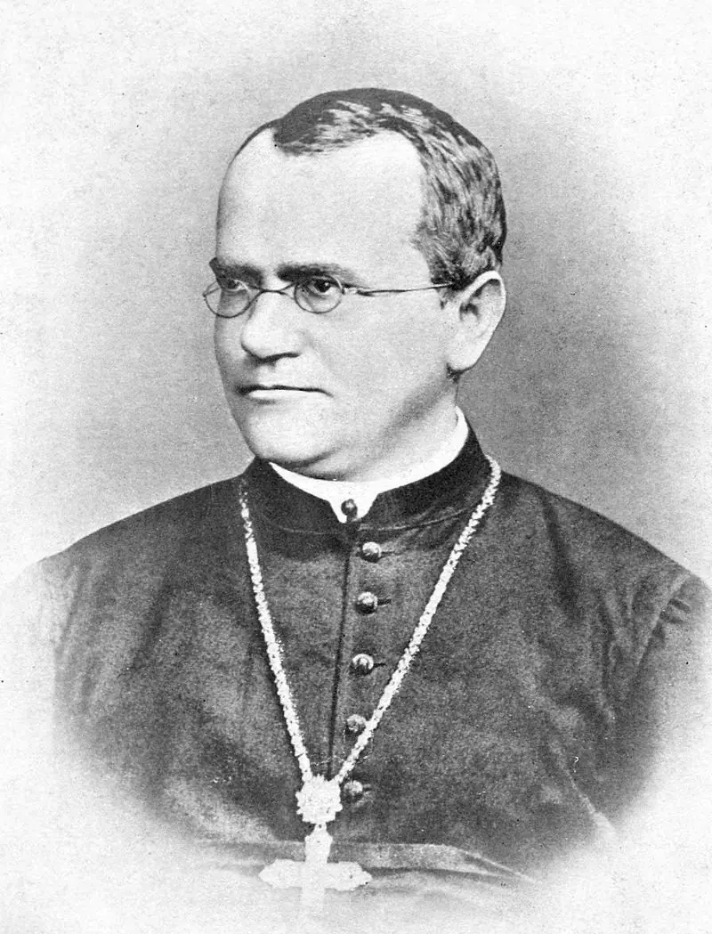 esterna