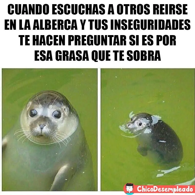 Lunes con los mejores Memes para animarte la tarde de hoy