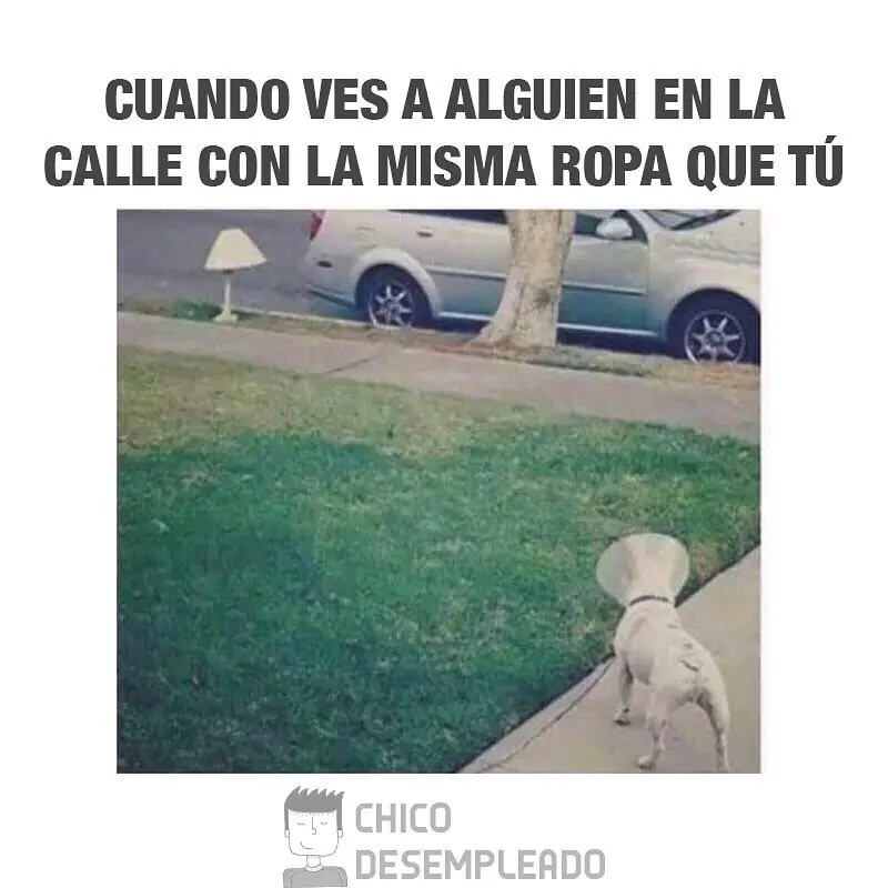 LUNES