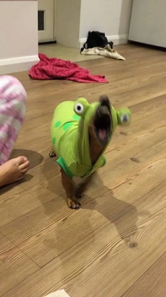 crarp