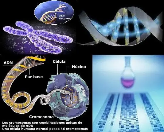 futuro