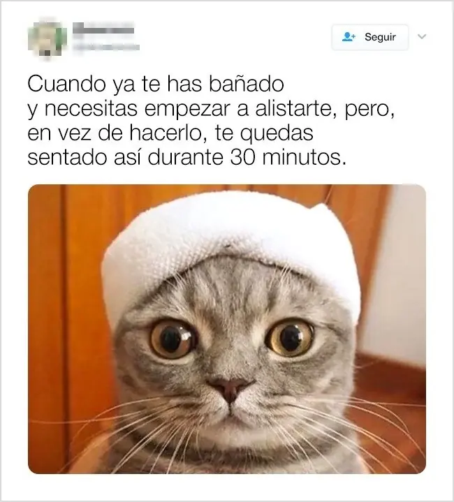decir
