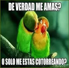 diviertete