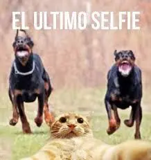 Para disfrutar de la risa